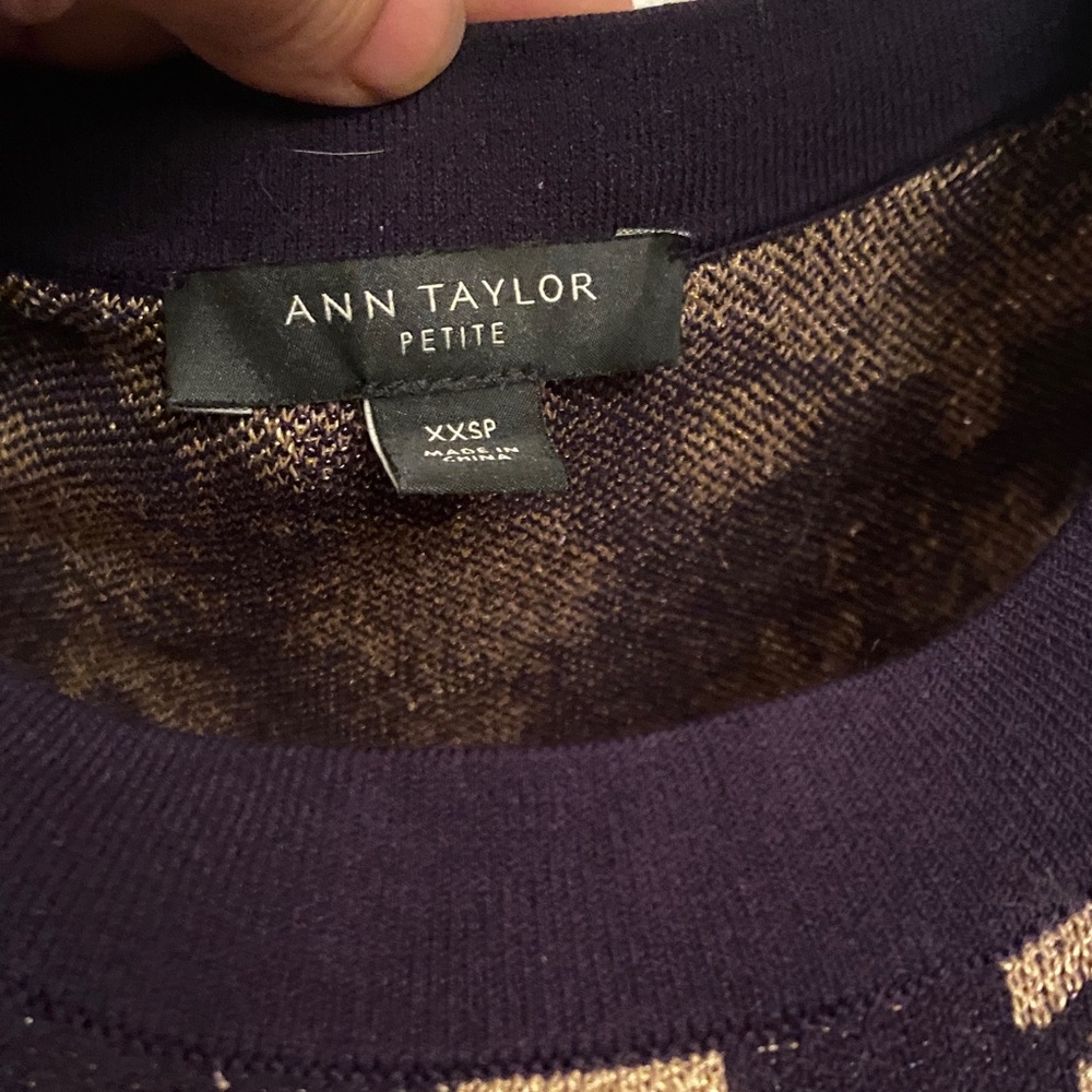 Ann Taylor Navy and Tan Petite Knit